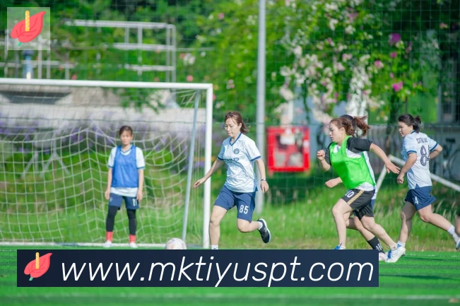 mksports平台生态图